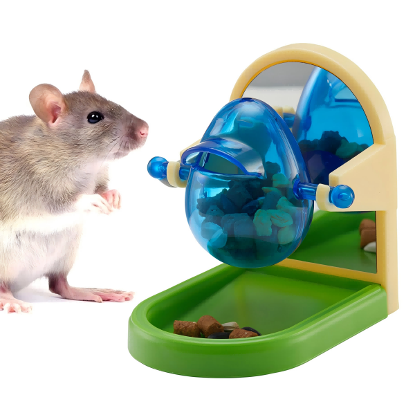 How To Make Pet Rat Toys