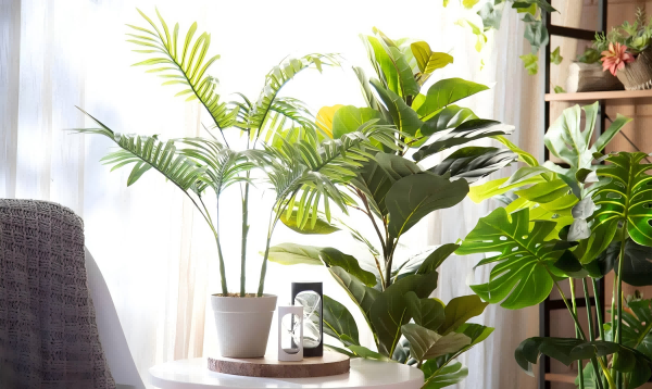 How To Make Artificial Plants Shine - xfgxgifts