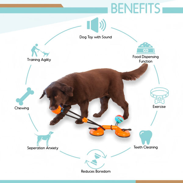 pet toys-2