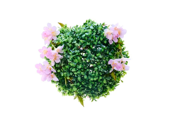 Artificial Plants-1