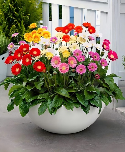 Artificial Plants for Outside-1