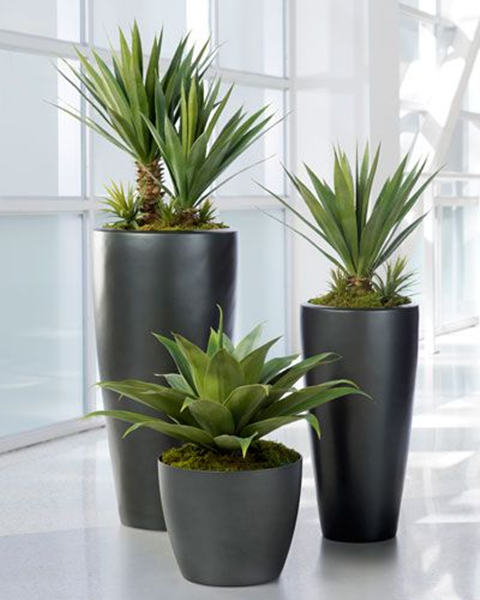 How Do You Make Cheap Fake Plants Look Real?