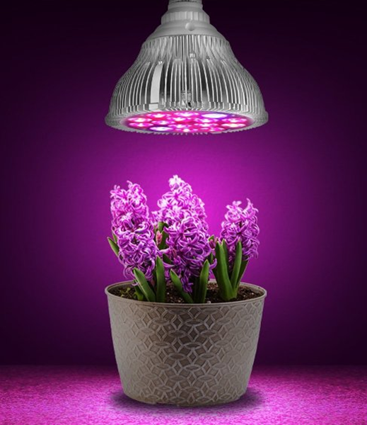Will Plants Grow in Artificial Light