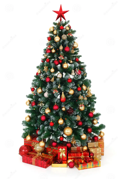 What Is The Most Traditional Christmas Tree?