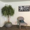 Nearly Natural's Artificial Trees