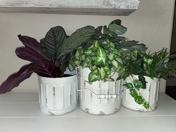 Artificial plants-3