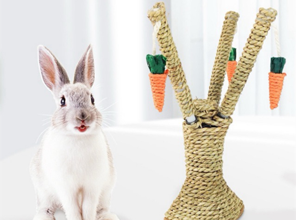 Do Pet Rabbits Play with Toys