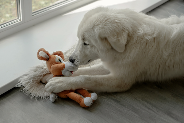 pet toys-4