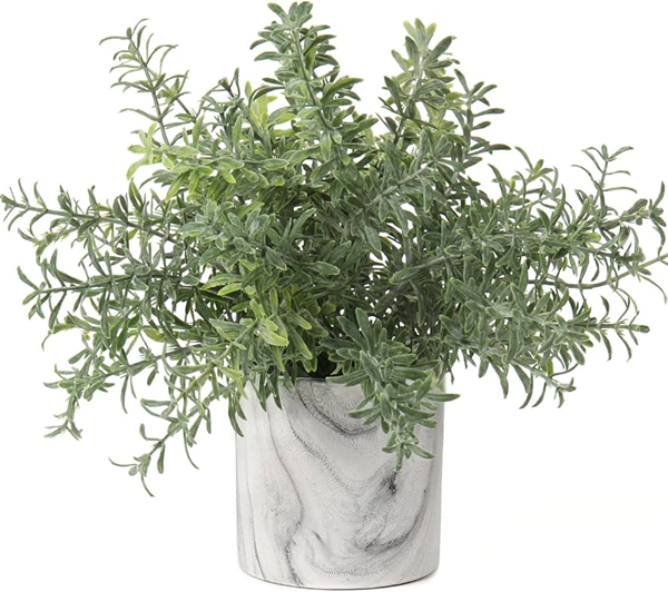 green plants-2