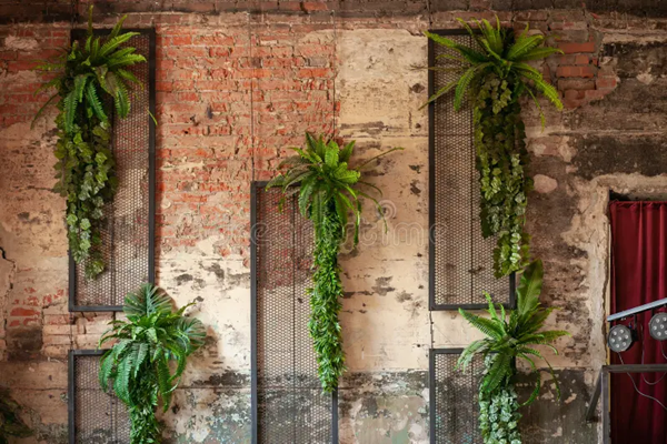 garden Artificial Plants -1