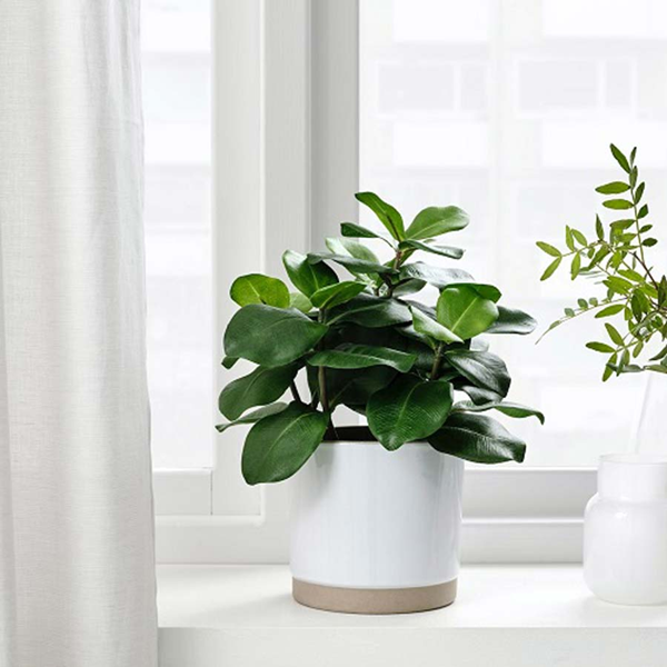 Artificial Plants-4