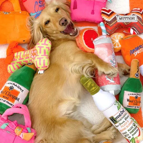 How To Make Diy Pet Toys