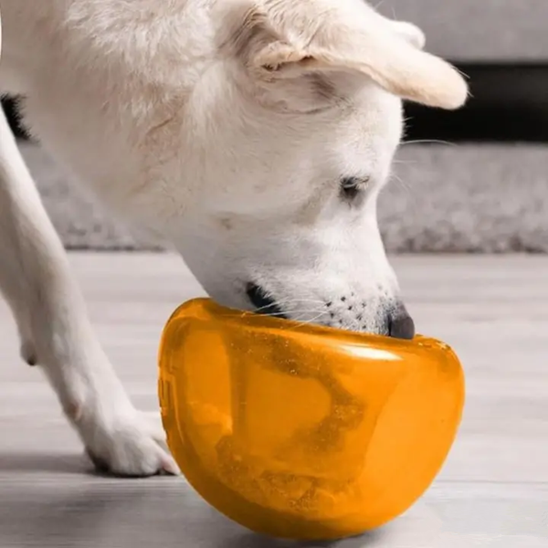 dog toy-2