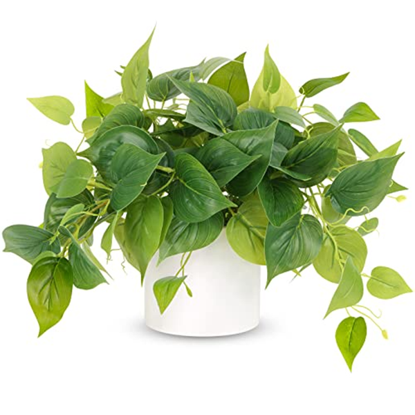 artificial plants-4