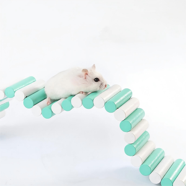 pet mouse toy-3