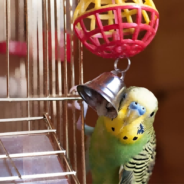 Make Pet Bird Toys-2