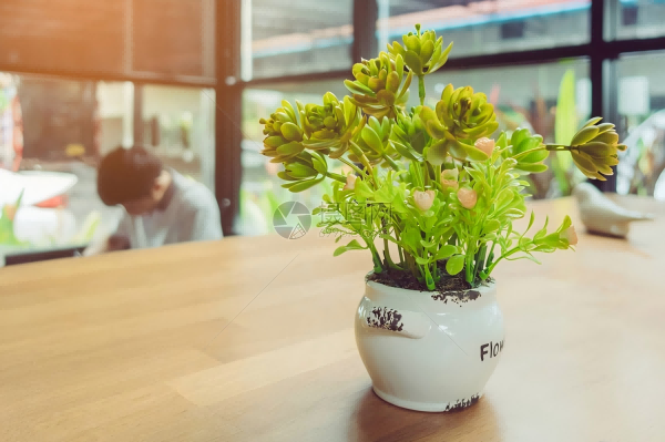 Artificial plants-4