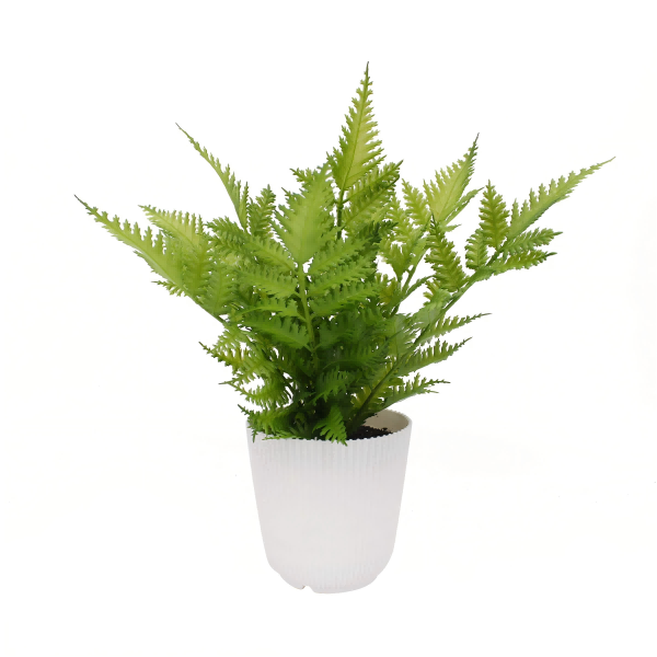 Artificial Plants-2