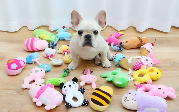 pet toy-2