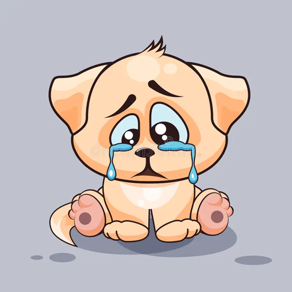 Why Do Dogs Cry When Carrying A Toy