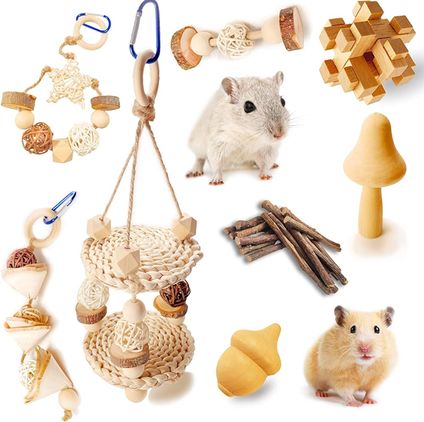 What Toys Are Not Safe for A Pet Mouse