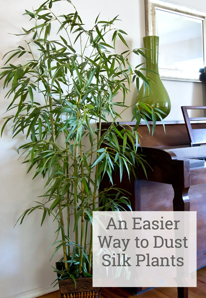 Clean Plants