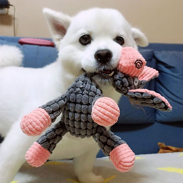 Are Dog Toys in High Demand?