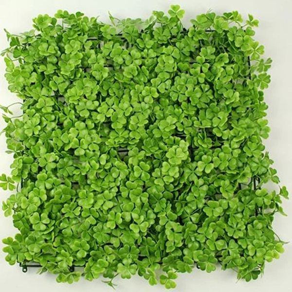 green plants-4