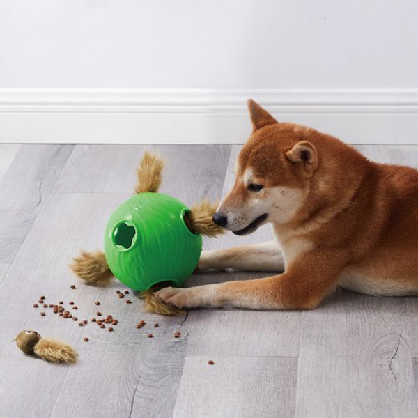 Does Goodwill Take Pet Toys