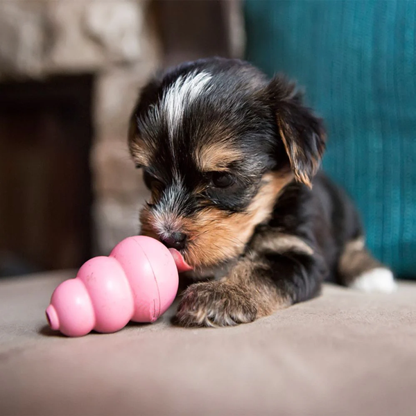 puppy toy-1