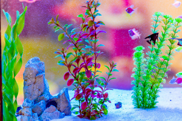 Artificial plants in water-4