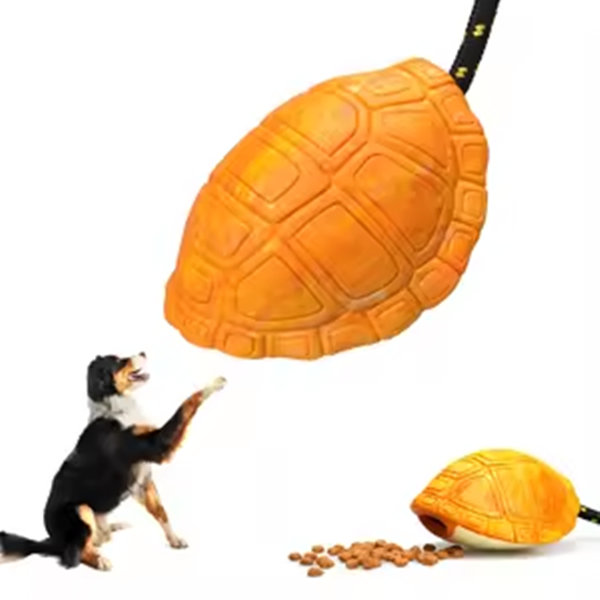 pet tortoises toy-4