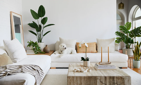 artificial plants for fengshui-3