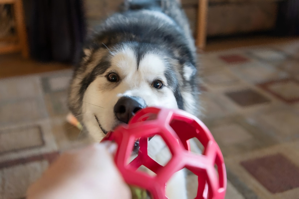toys-4