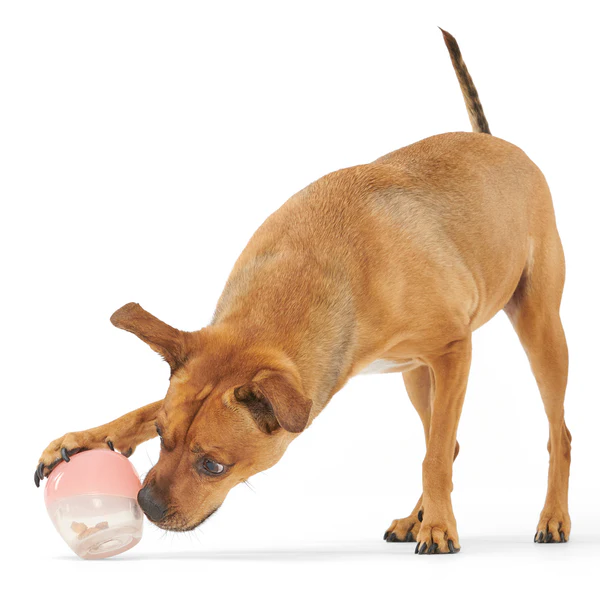 global pet toys-4