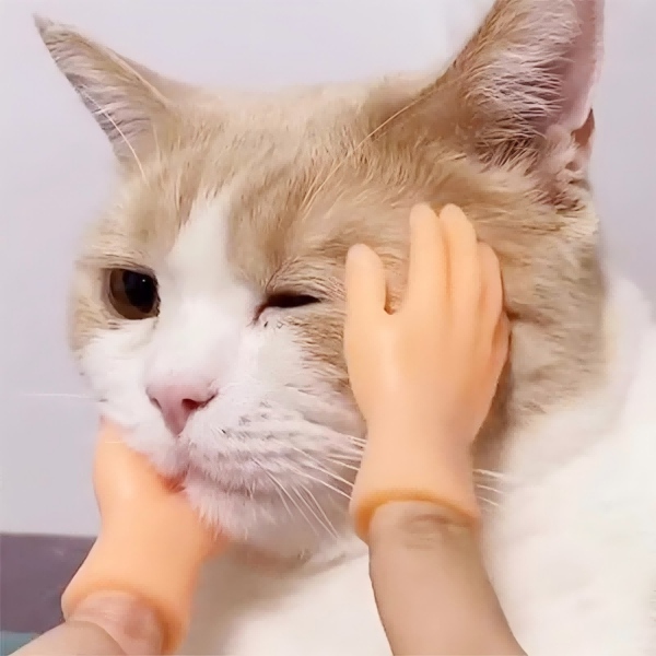 Finger Pet Toys-3