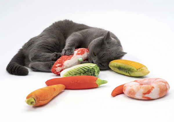 What To Do with Used Pet Toys