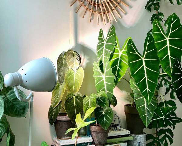 artificial lighting-1