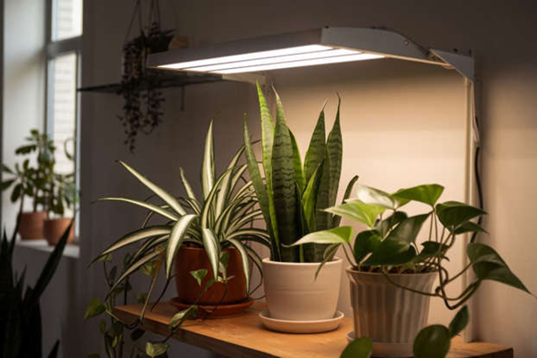 artificial lighting-3