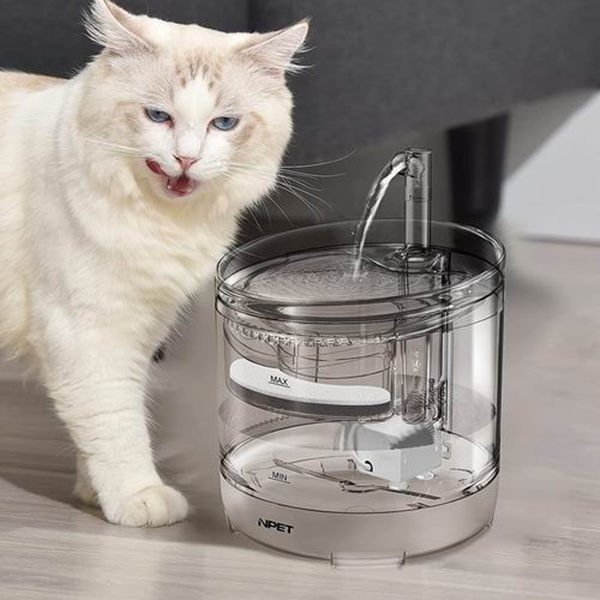 Are Pet Water Fountains Worth It?