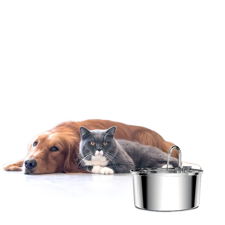 Stainless Steel Pet Drinking Fountain