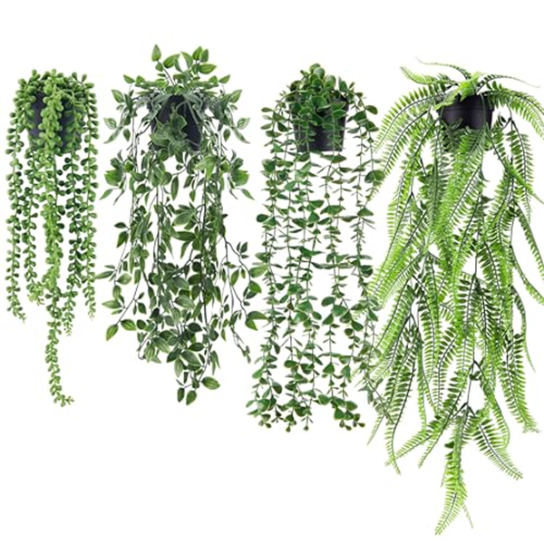 green plants-2