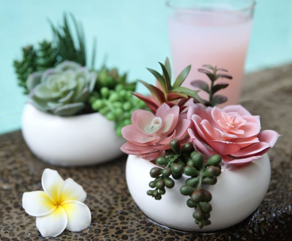 Can Indoor Plants Grow with Artificial Light