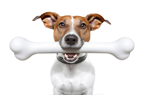 How Much Markup on Pet Toys