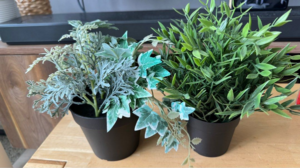Artificial plants-1