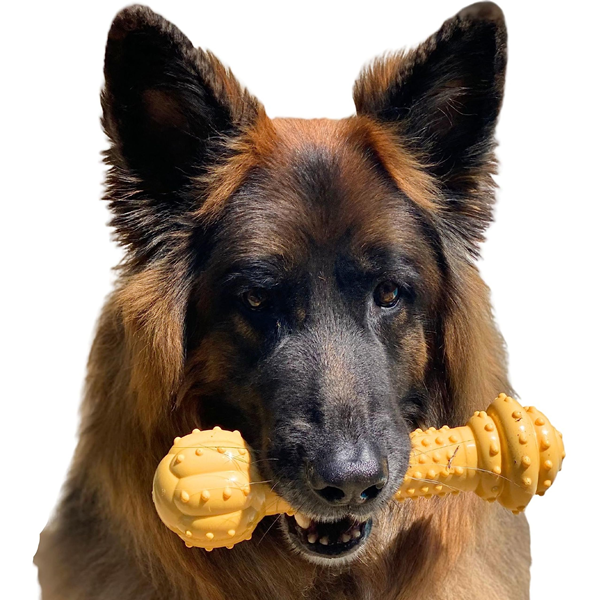 pet toys-3