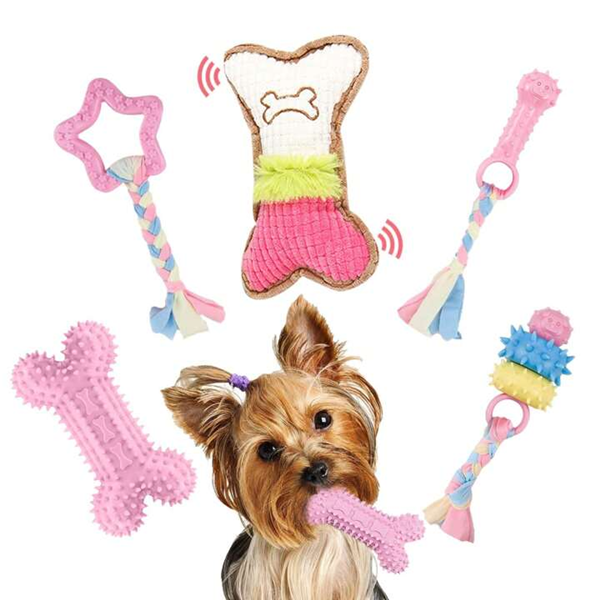 pet toy-3