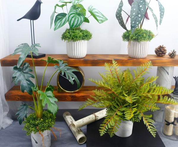 How Do I Make My Artificial Plants Shiny