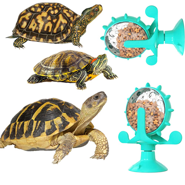 pet turtles toys-3