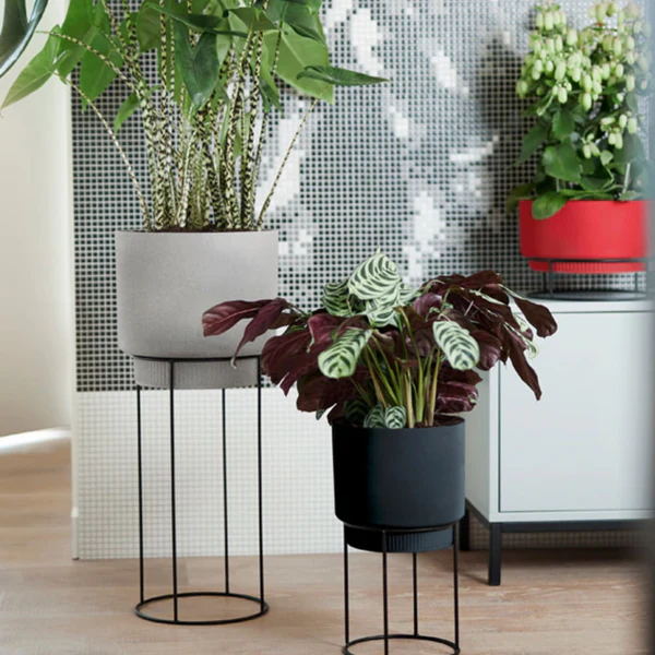 How To Fix Artificial Plants in Pots